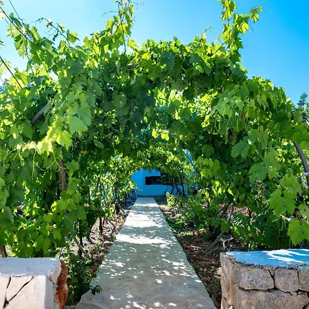 Lamia Il Melograno 펜션 *