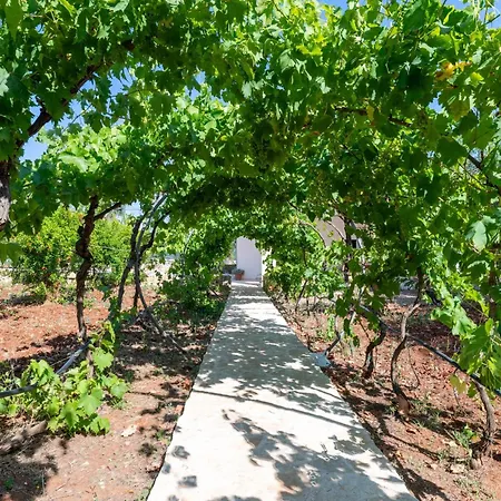 Holiday home Lamia Il Melograno