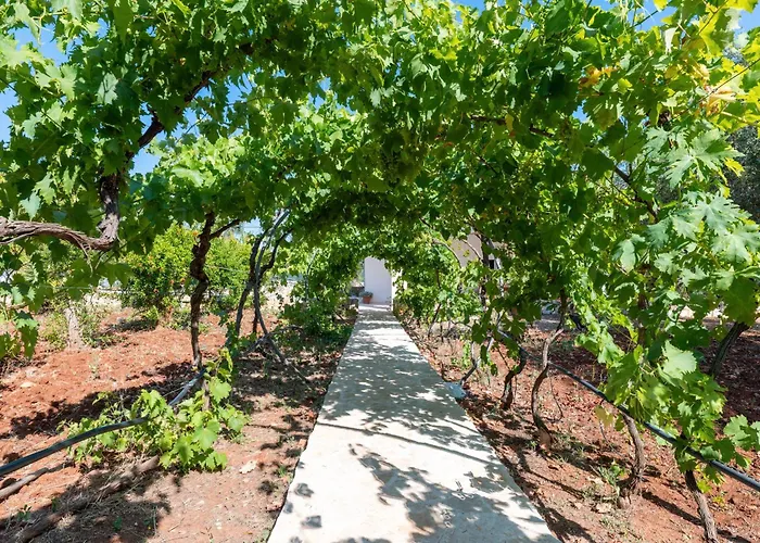 Lamia Il Melograno * 오스투니