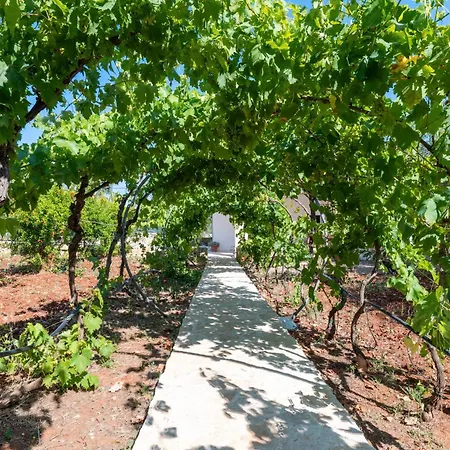 Lamia Il Melograno * Ostuni